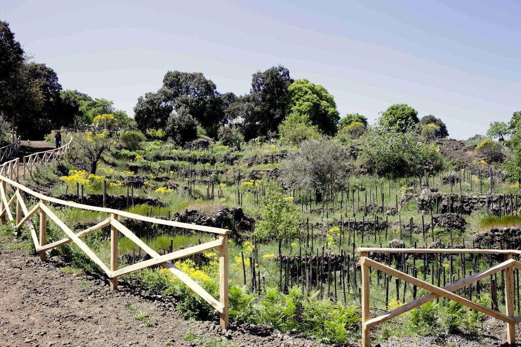 Ecoagriturismo Notti Stellate Etna Mare Villa Mascali Exterior photo