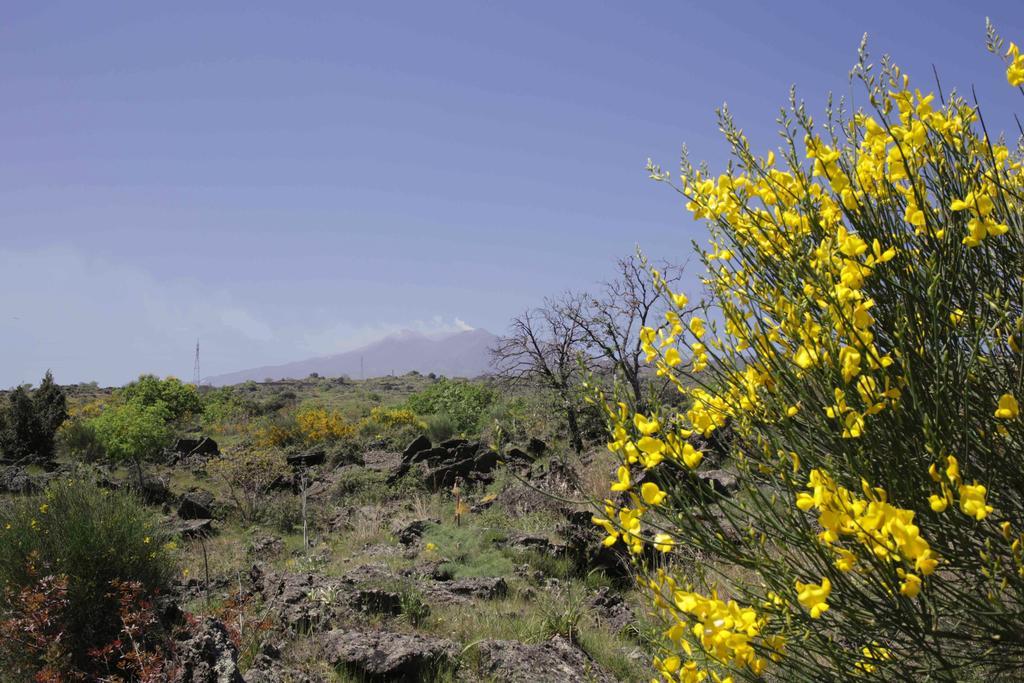 Ecoagriturismo Notti Stellate Etna Mare Mascali Exterior photo
